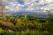 View across the rolling hills to Great Smoky Mountains National Park from the Foothills Parkway, Tennessee, USA. April, 2022.