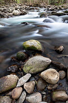 Little Pigeon River flowing over rocks, Great Smoky Mountains National Park, Tennessee, USA. April, 2022.