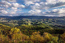 View across rolling hills from Foothills Parkway, Great Smoky Mountains National Park, Tennessee, USA. April, 2022.