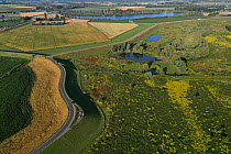 Aerial view of landscape kept open for animal grazing for habitat restoration, Gelderse Poort, near Nijmegen, The Netherlands. July, 2022.