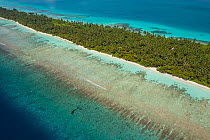 Aerial view of narrow coral atoll island with palm trees and white sand beach surrounded by reef, Dhigurah Island, South Ari Atoll, Maldives, Indian Ocean. February, 2020.