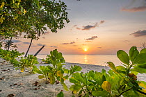 Sunset over the ocean viewed from beach, Dhigurah Island, South Ari Atoll, Maldives, Indian Ocean. February, 2020.