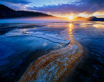 Grand Prismatic Pool at sunset, creating steam, with terraces of bacteria mats and red algae, Yellowstone National Park, Wyoming, USA.