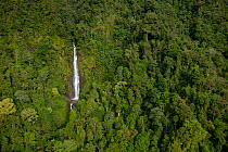 Aerial view of waterfall and rainforest in the basin on the north side of Saruwaged mountain range, Huon Peninsula, Papua New Guinea. October, 2011.