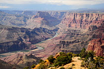 Colorado River and canyon views from the south rim, Grand Canyon National Park, Arizona, USA. June, 2009.