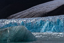 Coastal landscape with mountain, fjord and glacier in summer. Liefdefjorden, Svalbard, Norway. August, 2018.