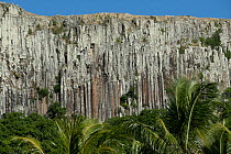 Basalt organs rock formations towering above forest canopy, Rodrigues Island, Mauritius. May, 2022.
