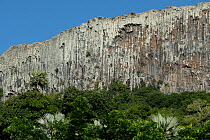 Basalt organs rock formations towering above forest canopy, Rodrigues Island, Mauritius. May, 2022.