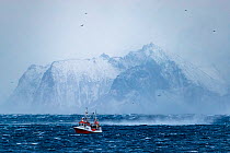 Fishing boat in stormy seas with snow-covered mountains in background. Andoya, Norway, Norwegian Sea. January, 2017.