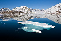 Drifting ice and snow-covered mountains, Spitsbergen, Svalbard, Norway, Arctic Ocean. July, 2008.