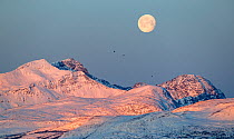 Moon over snow-covered mountain landscape, Troms, Norway. November, 2019.