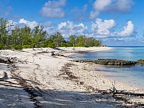 Beach at northern end of Menai, Cosmoledo Atoll, Seychelles. April, 2023.