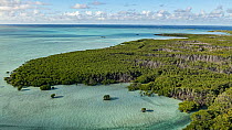 Aerial view of mangroves and lagoon, Menai, Cosmoledo Lagoon, Seychelles, Indian Ocean. April, 2023.