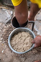 Man collecting freshly-pounded Kava, which is made from a Pepper plant (Piper methysticum) and mixed in water, drunk in various traditional settings, Yadua Island, Fiji. March, 2023.