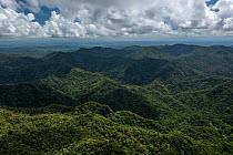 View of mountains and lush interior of Viti Levu, viewed from Mount Korobaba near Suva, Viti Levu, Fiji. February, 2022.