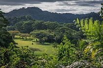 Large trees surrounding a golf course nestled into the dense vegetation covering the outskirts of Pacific Harbour, Serua Province, Viti Levu, Fiji. November, 2018.
