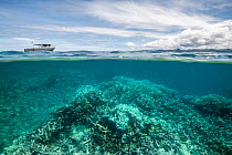 Split level view showing bleached Acropora hard corals on Combe Reef with a dive boat on water surface, Viti Levu, Fiji, Pacific Ocean.