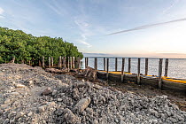 Wooden sea defence structure along the shore, to protect city from rising sea levels, Suva, Viti Levu, Fiji. January, 2023.