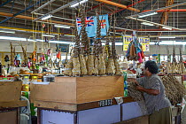 Kava root (Piper methysticum) bundles, locally referred to as waka, for sale at Suva Municipal Market, Suva, Viti Levu, Fiji. December, 2015.