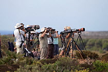Group of birdwatchers with cameras and binoculars birdwatching, Sagres, Algarve, Portugal. October, 2018.