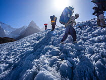 Four porters carrying supplies en route to K2 from Concordia at the confluence of Godwin-Austen and Baltoro Glaciers, Karakoram Mountains, Gilgit-Baltistan, Northern Pakistan. July, 2022.