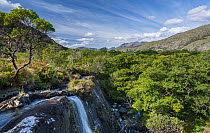 View from top of Crinnagh River waterfall across surrounding woodland and hills, Tower Wood, Killarney National Park, County Kerry, Republic of Ireland. September, 2022.