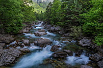 River Ara flowing over rocks, Valle De Bujaruelo, Ordesa National Park, Pyrenees, Spain. June, 2022.