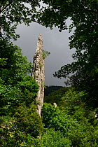 Les Sucettes de Borne, a crag framed by trees, Massif du Diois, Vercors Regional Natural Park, Drome, France, July 2021.