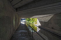 Footpath along the Shropshire Union Canal under the M53 motorway, Ellesmere Port, Cheshire, UK. October, 2022.
