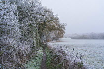 Footpath and farmland covered with hoar frost on a bitterly cold day in winter, near Neston, Cheshire, UK. December.
