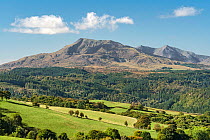 View across forests and hills to Moel Siabod on the left with Mount Snowdon behind, Snowdonia, North Wales, UK. October, 2022.