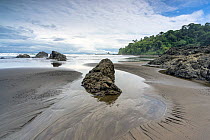 Beach at low tide with rainforest along the rocky shore, Playa El Almejal, Bahia Solano, Choco, Colombia. July, 2022.