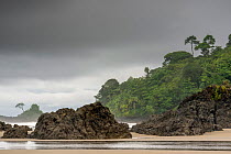 View along beach and rugged, rocky coast at Playa El Almejal, Bahia Solano, Choco, Colombia. July, 2022.
