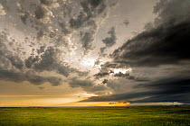 Storm clouds over grassland at dusk, Buffalo Gap National Grasslands near Panorama Point, Badlands National Park, South Dakota, USA. June, 2022.