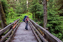 Woman crossing Pony Bridge while hiking in the Quinault River Valley, Olympic National Park, Washington, USA. June, 2022. Model released.
