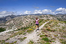 RF - Woman day hiking on Trail 216D above the Pumus Plains on a sunny day, Mount St Helens National Volcanic Monument, Cascade Mountains, Washington, USA. July, 2022. Model released. (This image may b...