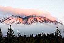 The Lahar deviation area at sunrise covered in low cloud, Mount St Helens National Volcanic Monument, Cascade Mountains, Washington, USA. July, 2022.