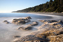 Rocky coastline along 4th Beach, Olympic National Park, Washington, USA. July, 2022.