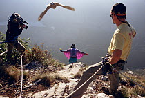 Trained Peregrine falcon (Falco peregrinus) chasing after base-jumper about to leap from cliff, with cameraman and assistant in foreground, Italy.