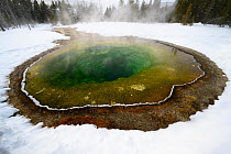 Morning Glory thermal pool surrounded by snow in winter,  Upper Geyer Basin, Yellowstone National Park, Wyoming, USA. January, 2020.