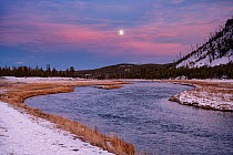 Full moon setting over Madison River, Yellowstone National Park, Wyoming, USA. October, 2020.
