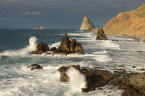 Waves crashing against rocks, Benijo Beach, Anaga Peninsula, Tenerife, Canary Islands, Atlantic Ocean. March, 2022.