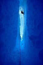 Glaciologist descends into crevasse inside glacier, Halley Bay, Brunt Ice Shelf, Antarctica.
