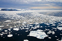 Aerial view of melting sea ice, Calm Bay, Hooker Island, Franz Josef Land, Russian Arctic, Arctic Ocean.