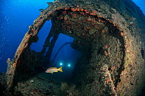 Machafushi shipwreck creating an artificial reef on seabed, with diver's lights in background, Ari Atoll, Maldives, Indian Ocean.