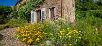 Home of photographer Paul Harcourt Davies, with garden full of self-seeded flowers. Podere Montecucco, Umbria, Italy, June.