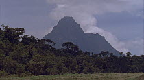 Eastern mountain gorilla (Gorilla beringei beringei) habitat and Mikeno volcano, Virunga mountains, Virunga National Park, Democratic Republic of Congo. 1996.