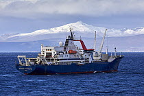 'Marion Dufresne' ship (TAAF supply and oceanographic vessel) anchored in Port-aux-Francais with the Ronarc'h peninsula in the background, Kerguelen Island, French Southern and Antarcti...