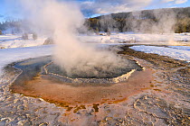 RF - Steam rising from Crested Pool hot spring in winter, Upper Geyser Basin, Yellowstone National Park, Wyoming, USA. January. (This image may be licensed either as rights managed or royalty free.)