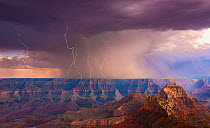 North Rim of the Grand Canyon with Vishnu Temple peak in foreground, under a massive monsoon storm cell with multiple lightning strikes recorded over a period of 20 minutes, with heavy rainfall over t...